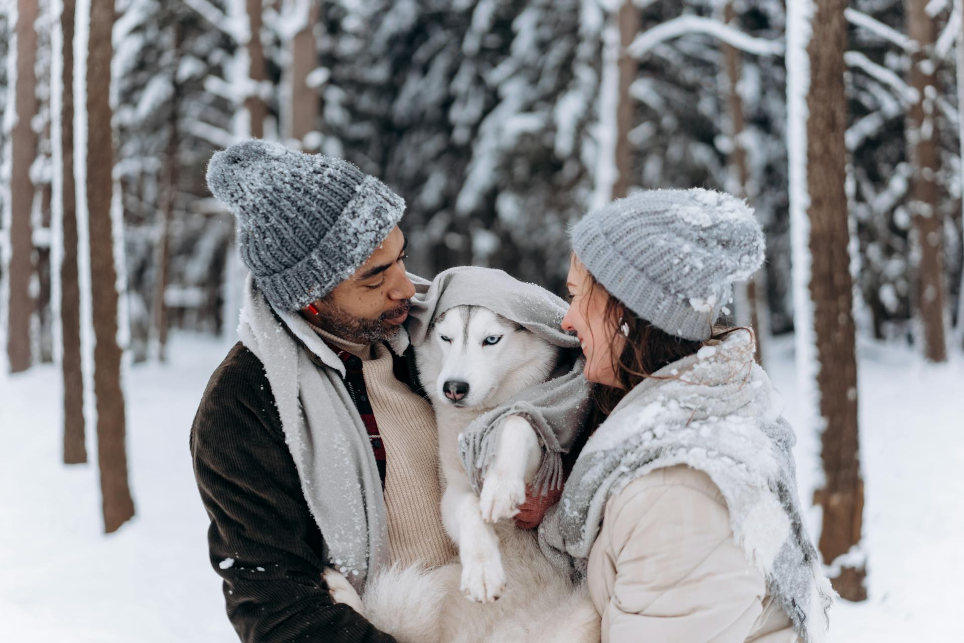 Why Safety and Trust Matter Most in Dog Treats
